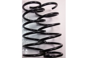 Пружина задняя Лачетти универсал фото, купить, цена, Украина Пружина задняя Лачетти универсал фото, купить