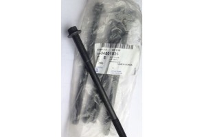 Болт головки Ланос Авео Лачетти Нексия 1.6 GM Болт головки Ланос Авео Лачетти Нексия 1.6 GM фото, купить