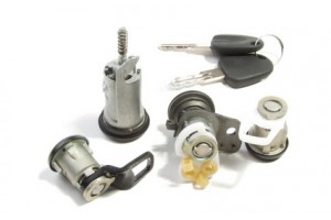 Комплект личинок Нексия 